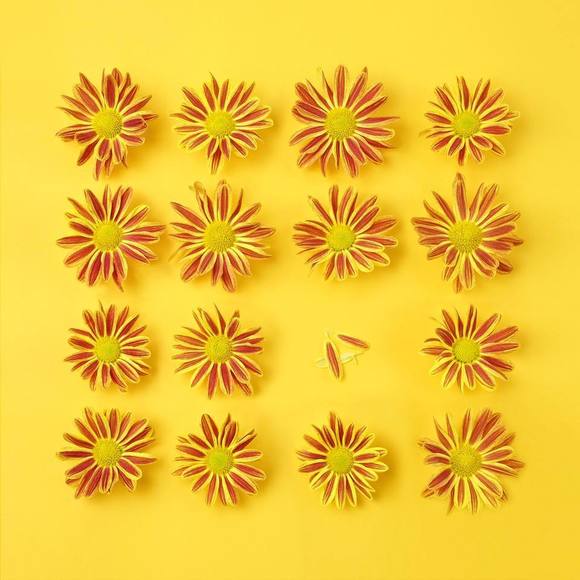 Meet your Posher, Juj - Picture 1 of 1