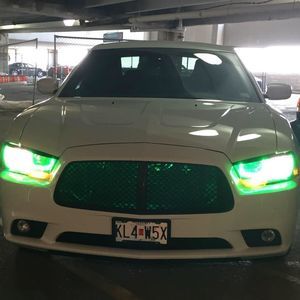 Meet your Posher, Wayne