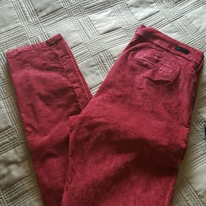 Pant bundle