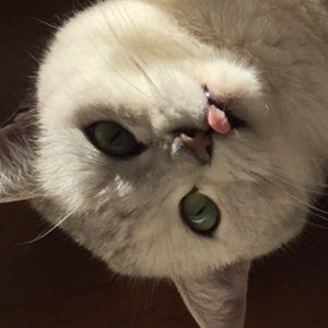 Meet your Posher, Kelsey