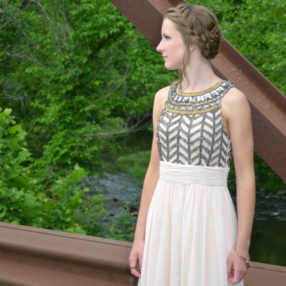 Embellished Chiffon Gown (worn once) (also hemmed)