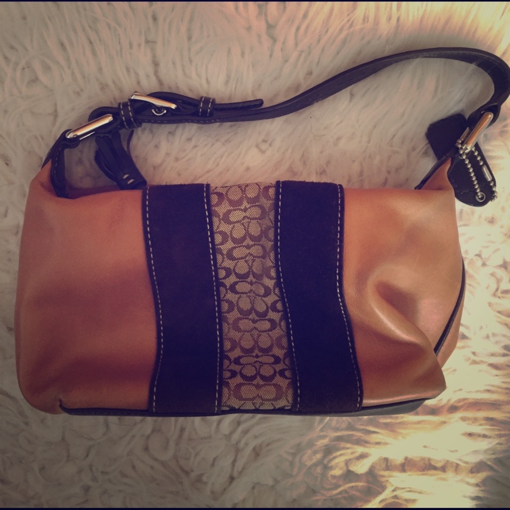 Small Coach purse.