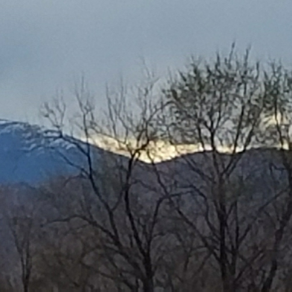 Meet your Posher, Danna