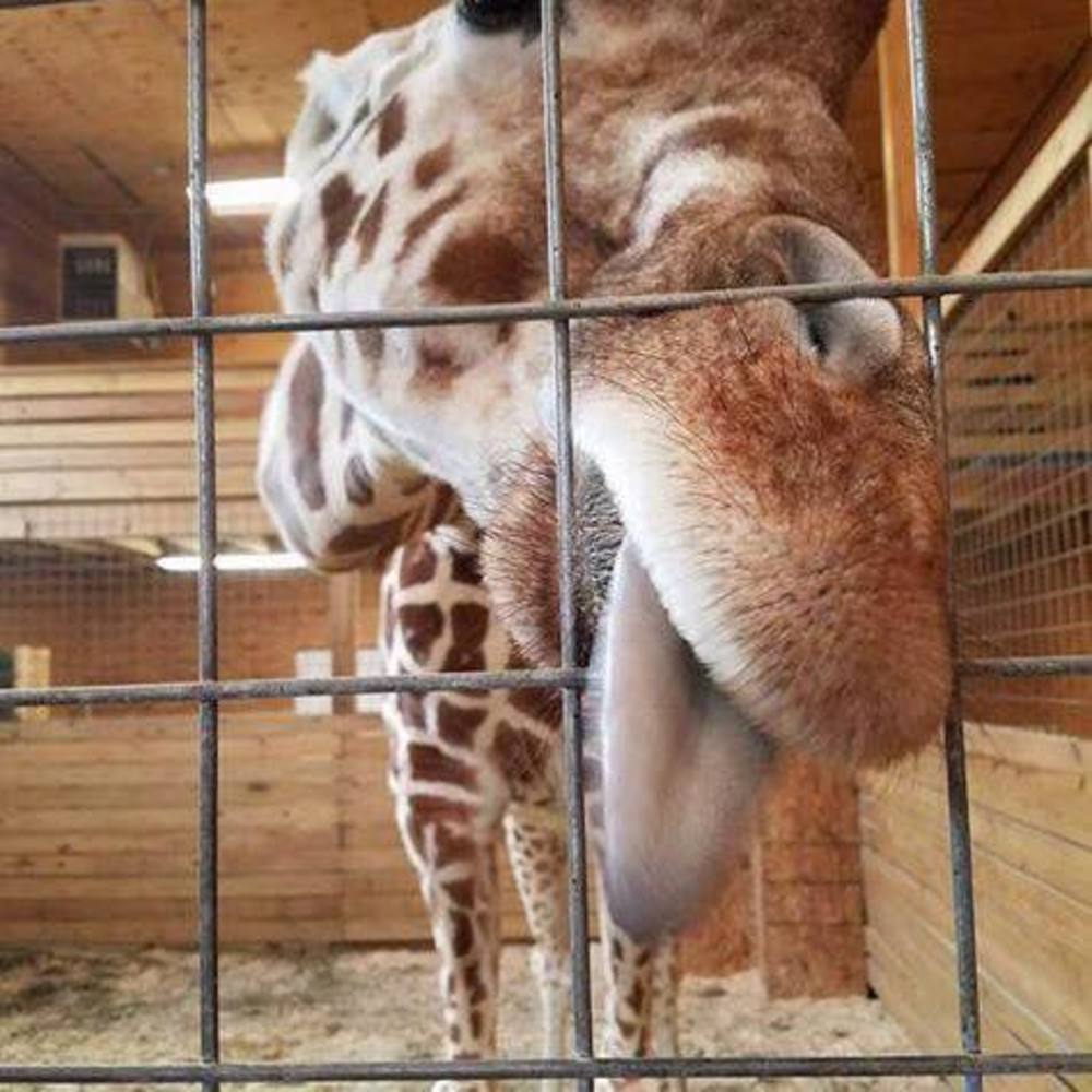 Meet your Posher, Kimberly