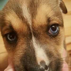 Meet your Posher, Brandon