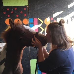 Meet your Posher, Kennedy