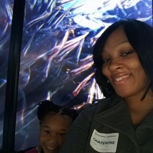 Meet your Posher, Bernadette