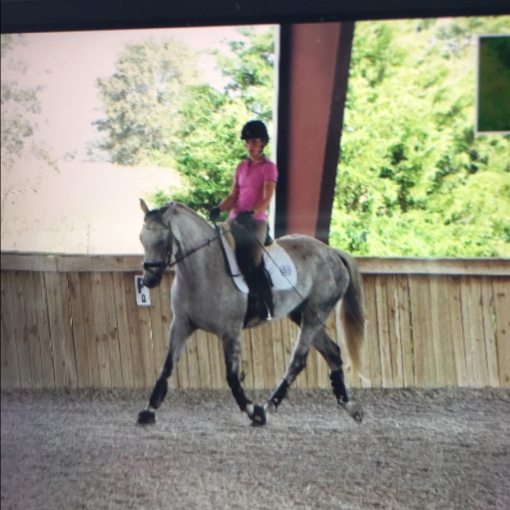 Meet your Posher, Julie