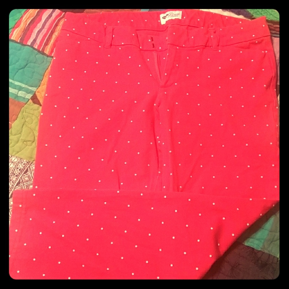 Cherry Red Pixie Pants