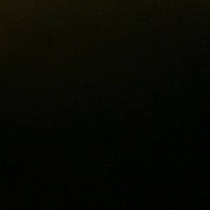 Meet your Posher, Ljiljana