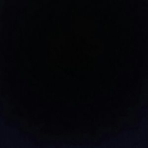 Meet your Posher, Raven