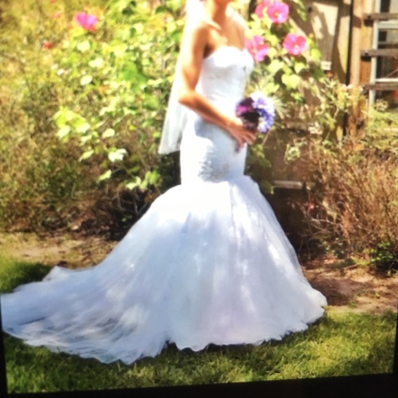 Beautiful  🦋wedding gown👰🏼 - Picture 6 of 6