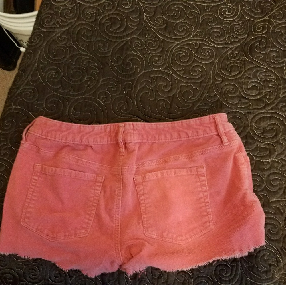 Pink Roxy Pacsun Shorts - Picture 2 of 3