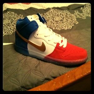 Nike Dunk Paris