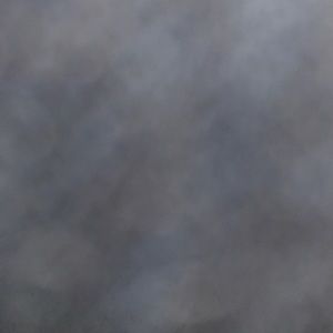 Meet your Posher, Ricky