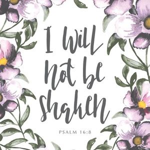 Meet your Posher, Andi