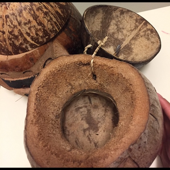 Coconut 🌴 - Picture 2 of 2