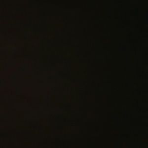 Meet your Posher, Audrey