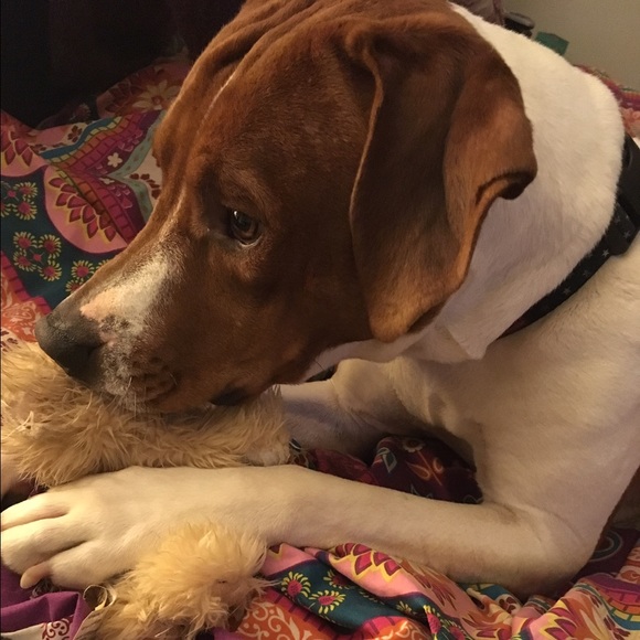 Meet your Posher, Chris - Picture 1 of 1