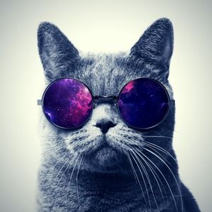 Meet your Posher, Trevor