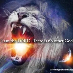 Meet your Posher, Vikki