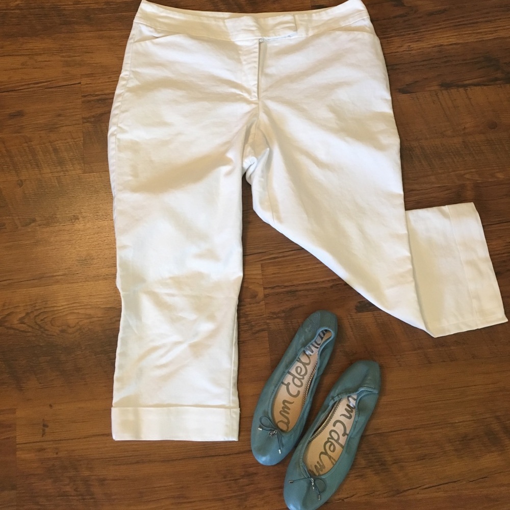 Ann Taylor Curvy Crop Pants