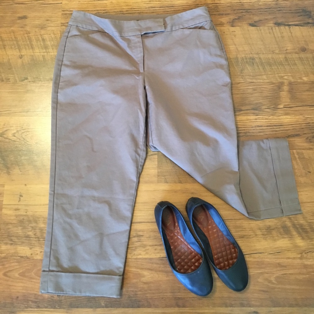 Ann Taylor Crop Pants