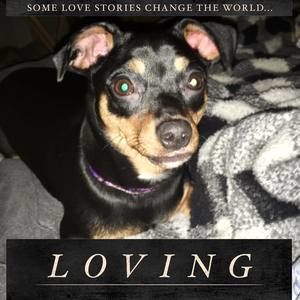 Meet your Posher, Diana