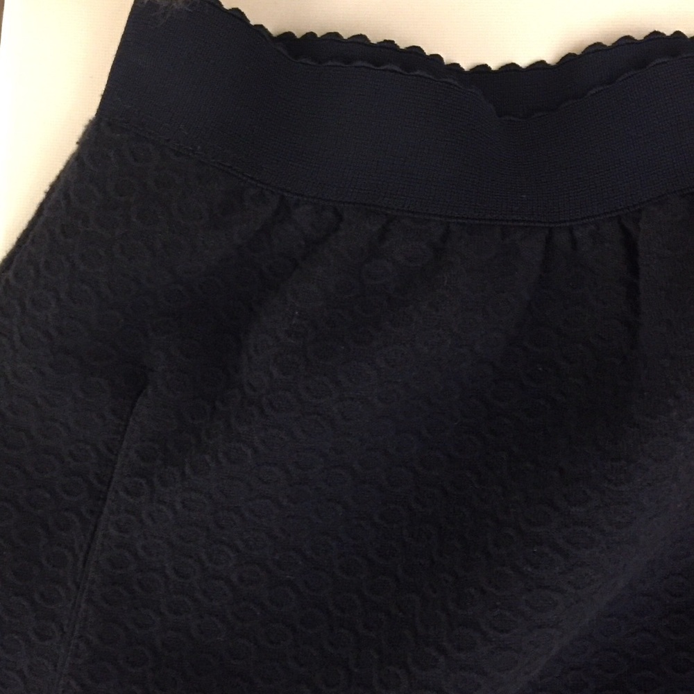 Anthropologie Postmark skirt