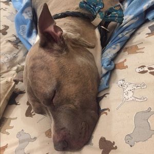 Special listing for Maymay