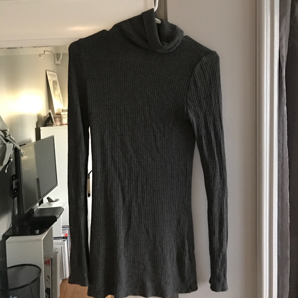 Brandy Melville Bodycon Ribbed Turtleneck Dress