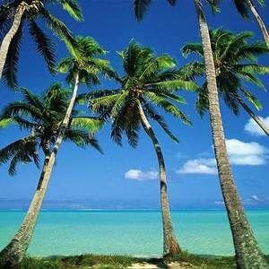 Meet your Posher, Trisha