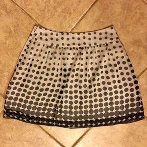 The Limited Polka Dot Skirt. NWOT