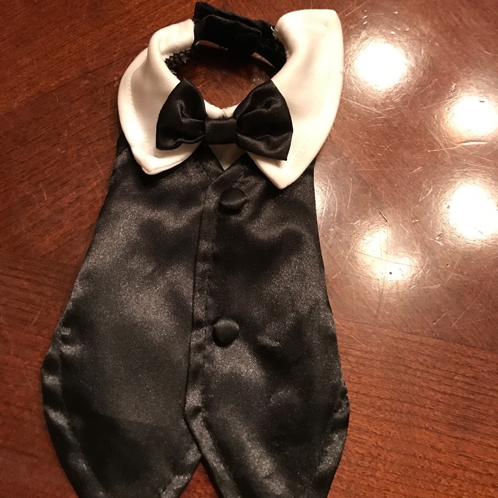 Ferret/ Hampster/ Guinea pig tuxedo