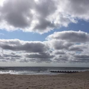 Meet your Posher, Timothy