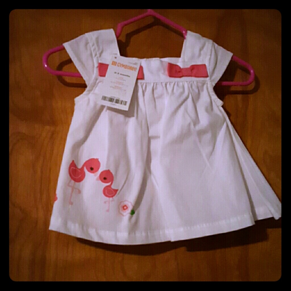 Baby Girl Gymboree top