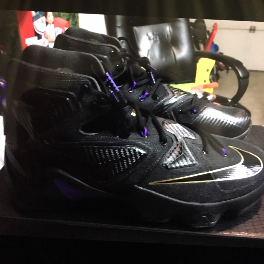 Lebron 13 Black lion size 12