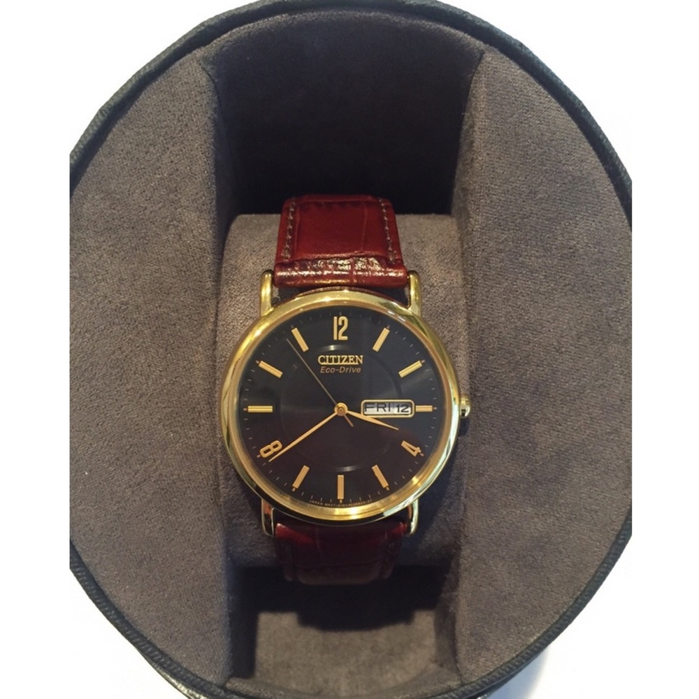 Citizen Eco Drive Gold-tone w/ Brown Leather Band