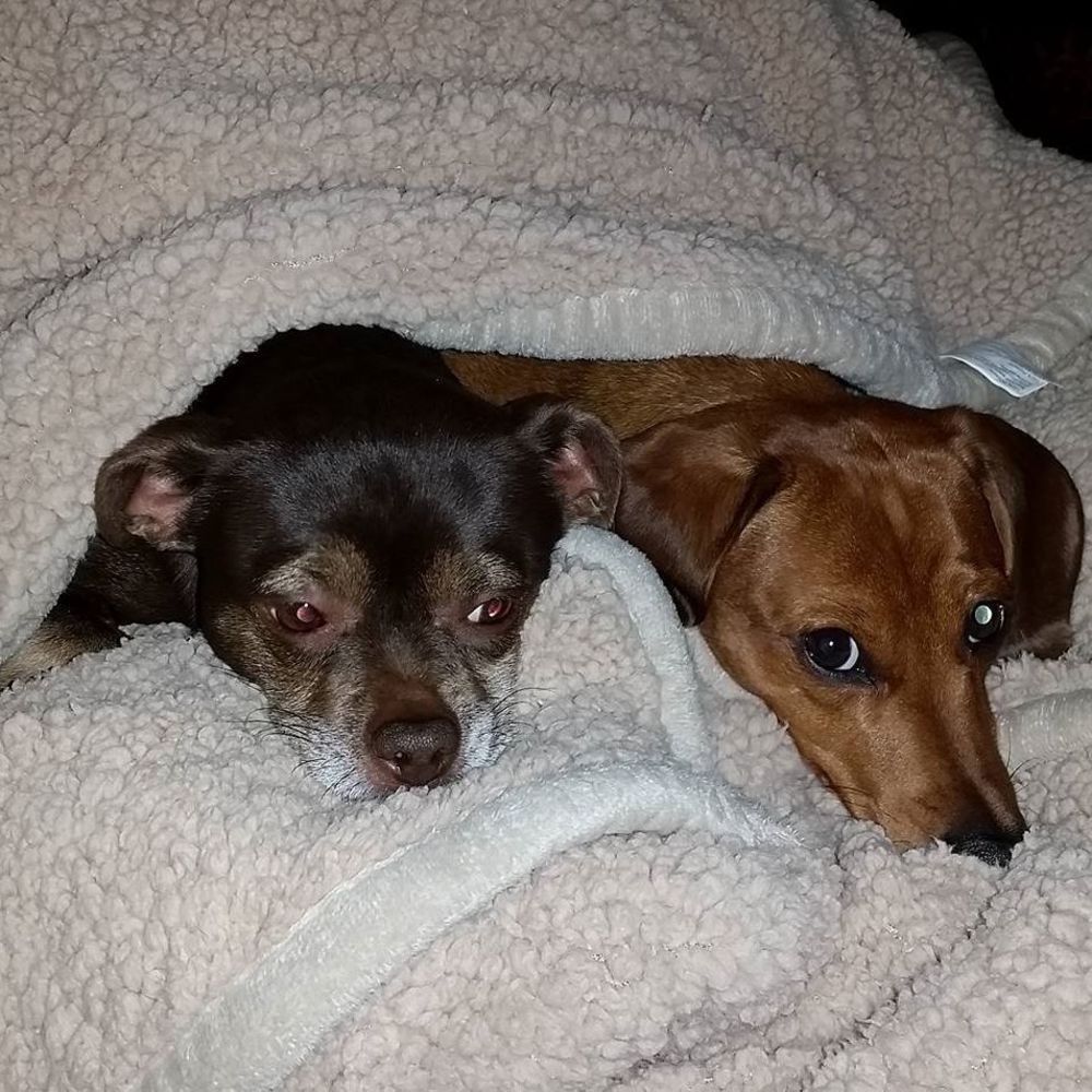 Meet your Posher, Mj