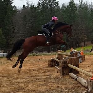 Meet your Posher, Caitlin