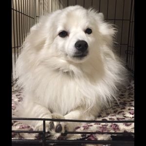 Meet your Posher, Marcy