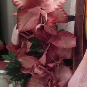 Meet your Posher, Glenda