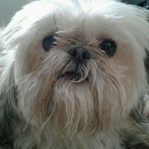 Meet your Posher, Denise