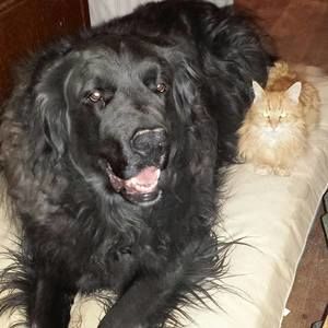 Meet your Posher, Gail