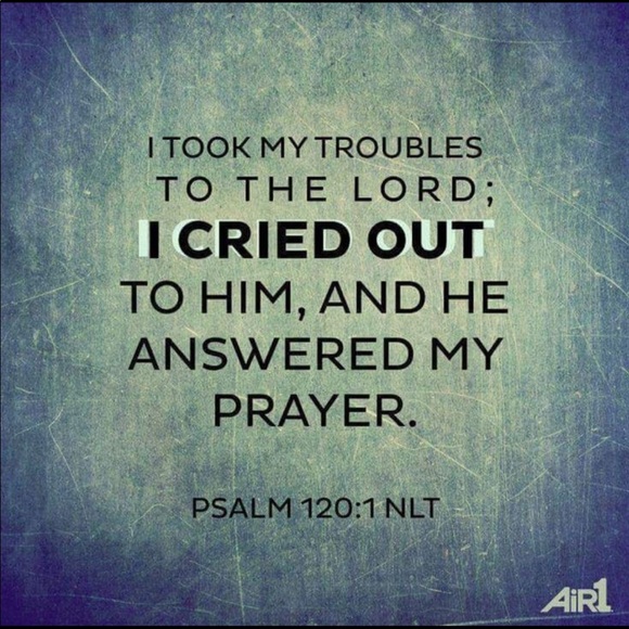 Meet your Posher, Porshia - Picture 7 of 8