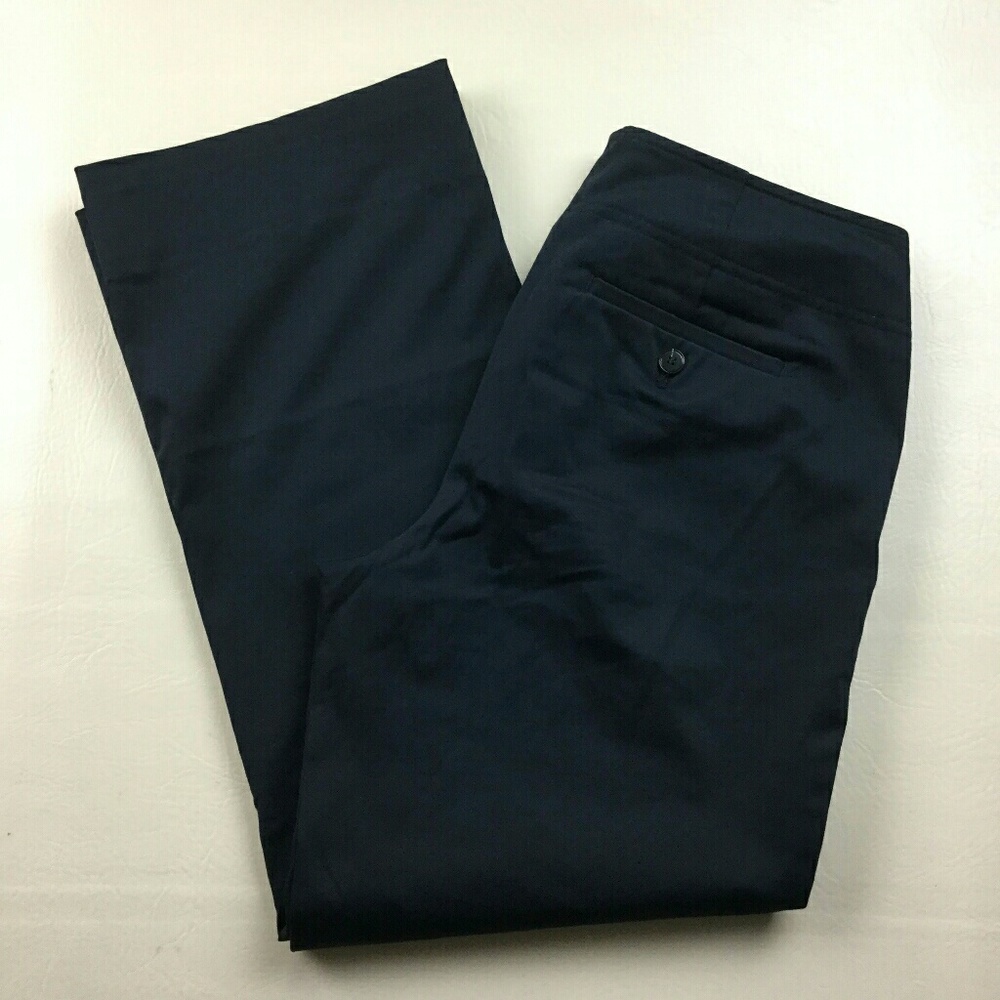 Ann Taylor Dress Pants