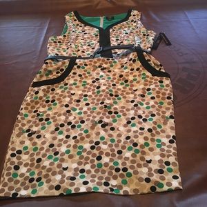 BNWT Sz 16 ILE New York polka dot dress