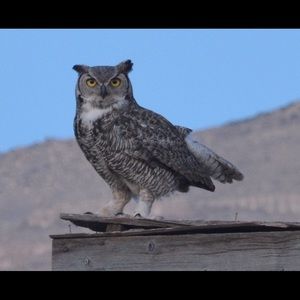 Meet your Posher, Kristan