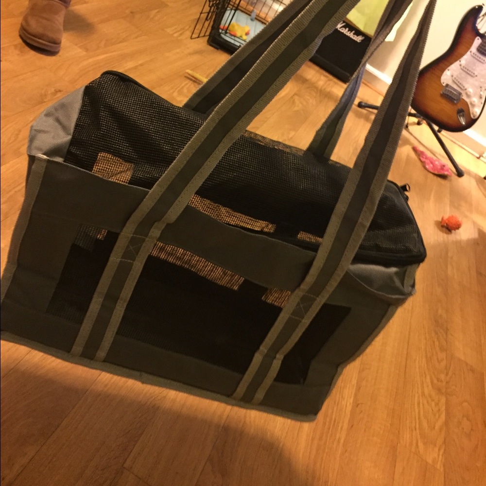 Bag carrier for puppy or kitten