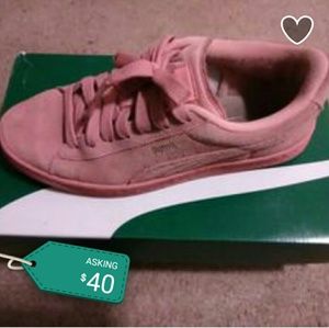 desert flower pumas